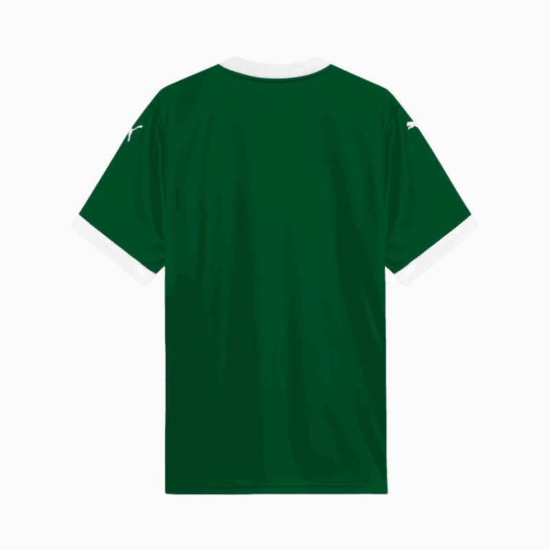 Camisa Puma Palmeiras 2025/26 I - Richard Rios N° 8