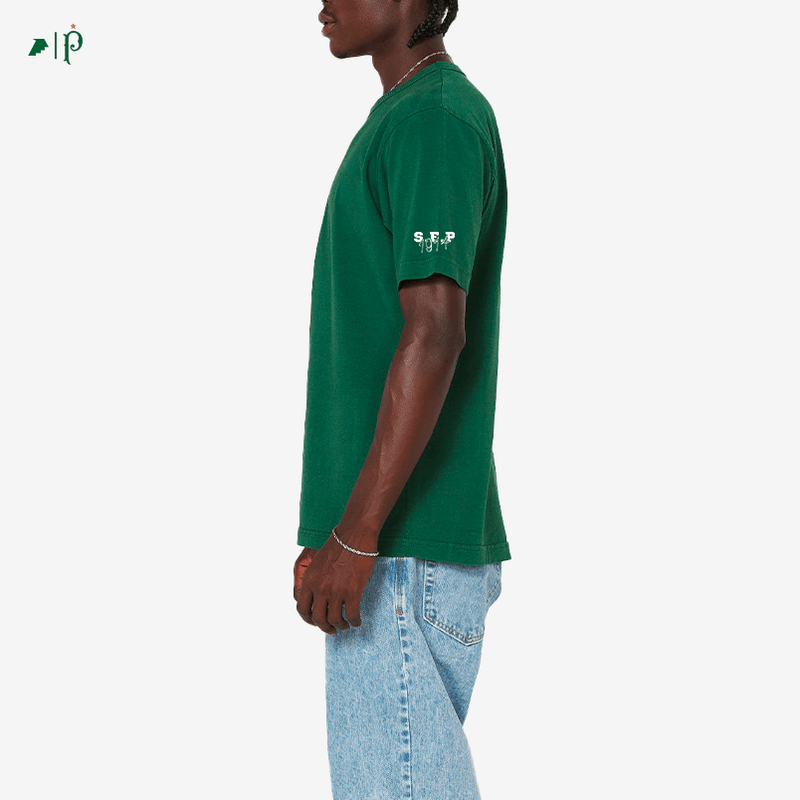 Camisa Palmeiras Avanti Palestra Oversized Verde